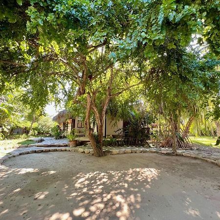 Casa Kuul, Elegant Fusion Of House And Garden. Villa Puerto Escondido  Luaran gambar