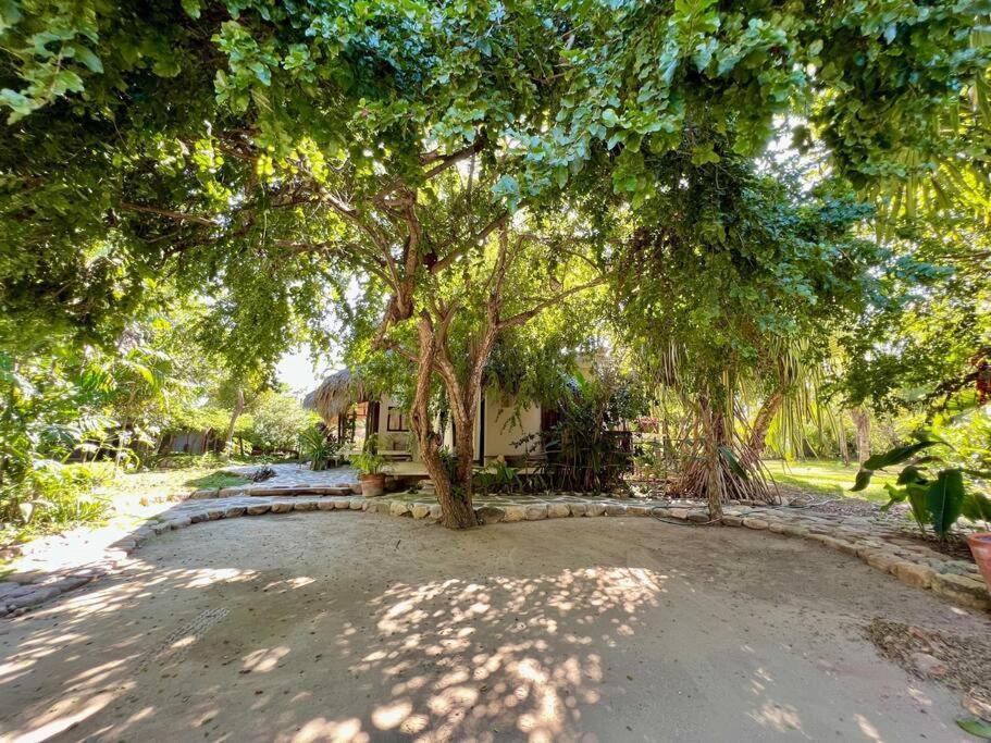 Casa Kuul, Elegant Fusion Of House And Garden. Villa Puerto Escondido  Luaran gambar