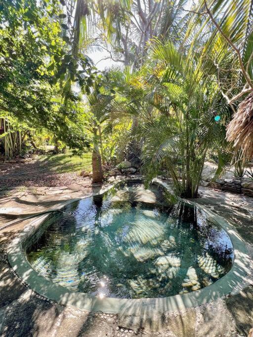 Casa Kuul, Elegant Fusion Of House And Garden. Villa Puerto Escondido  Luaran gambar